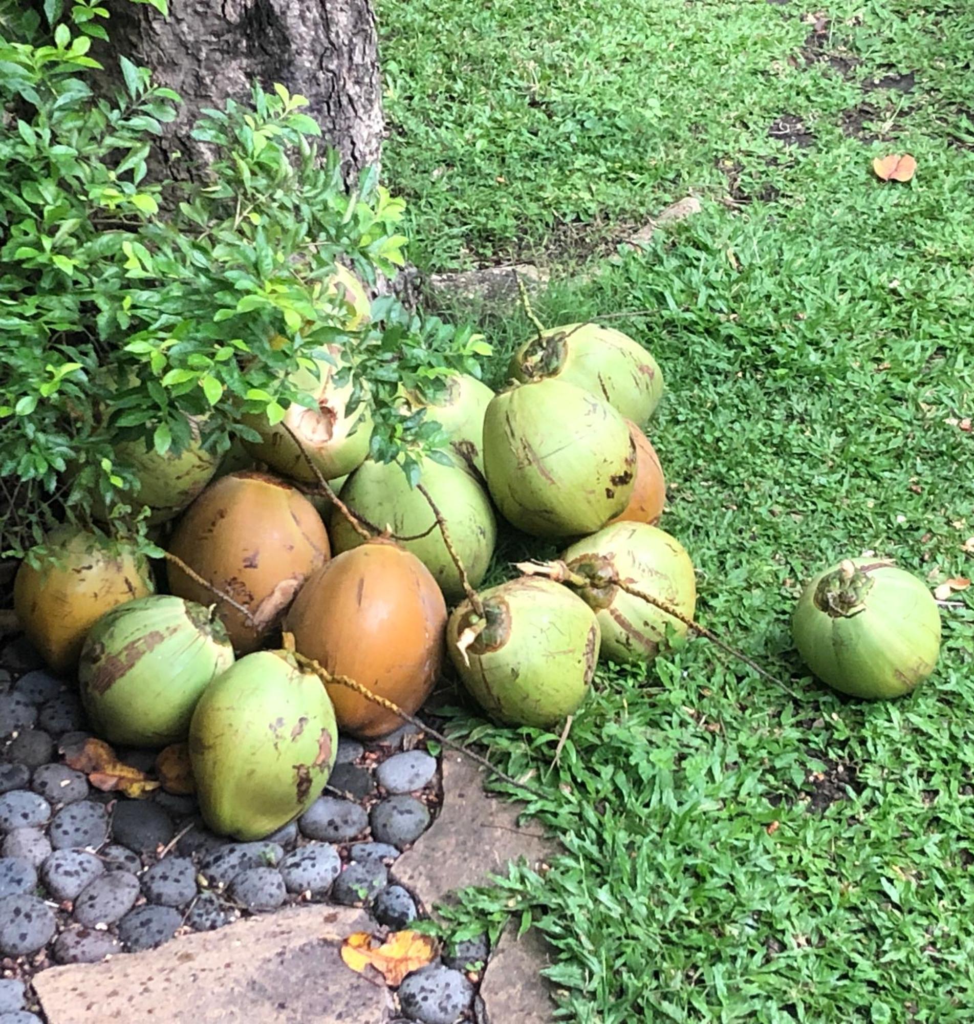 Hidden Heaven Rumah Barong Jasri 外观 照片